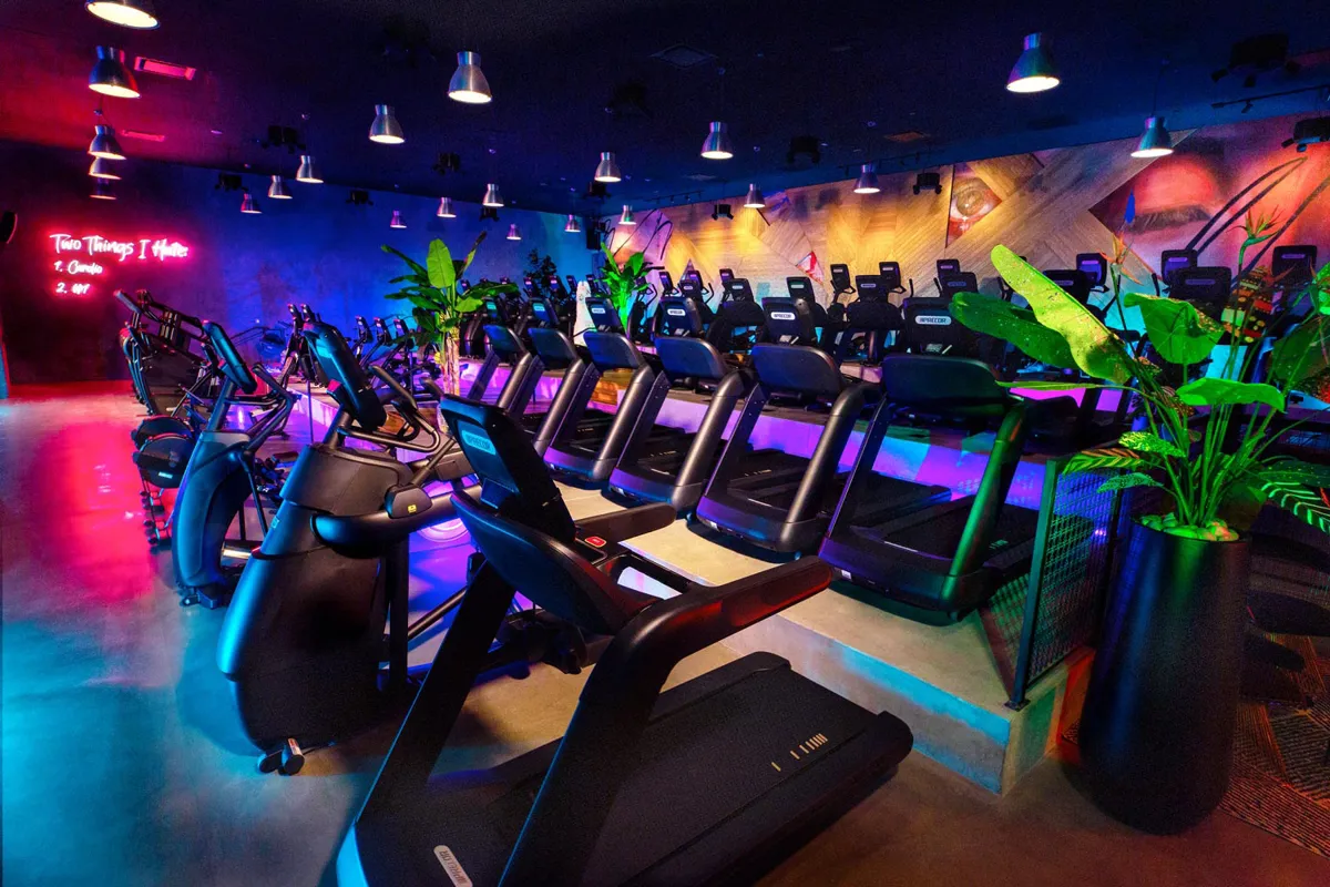Modern gym with treadmills and stylish lighting.